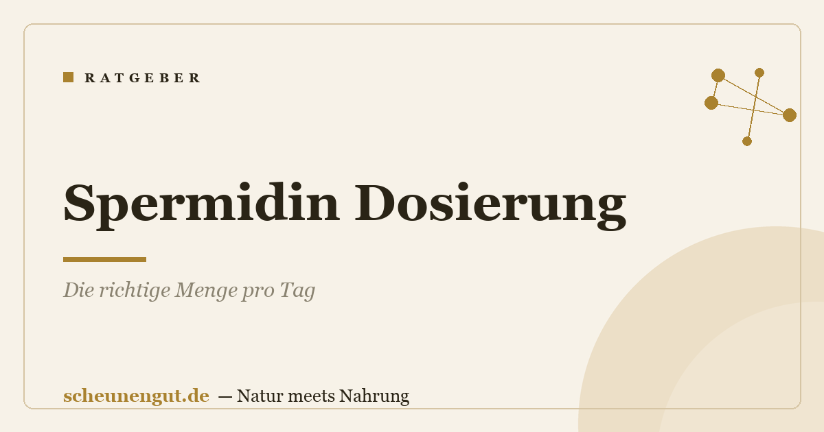 Spermidin Dosierung: Die richtige Menge pro Tag