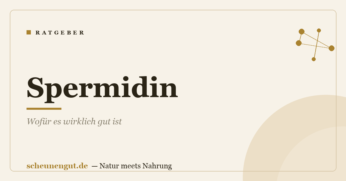 Spermidin: Wofür es wirklich gut ist