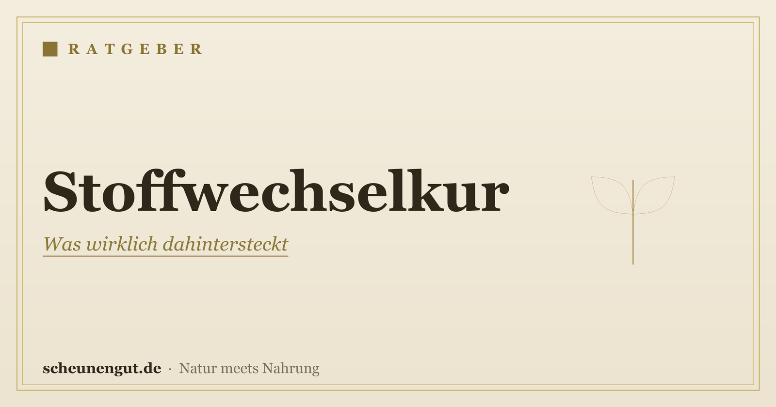 Stoffwechselkur: Was wirklich dahintersteckt
