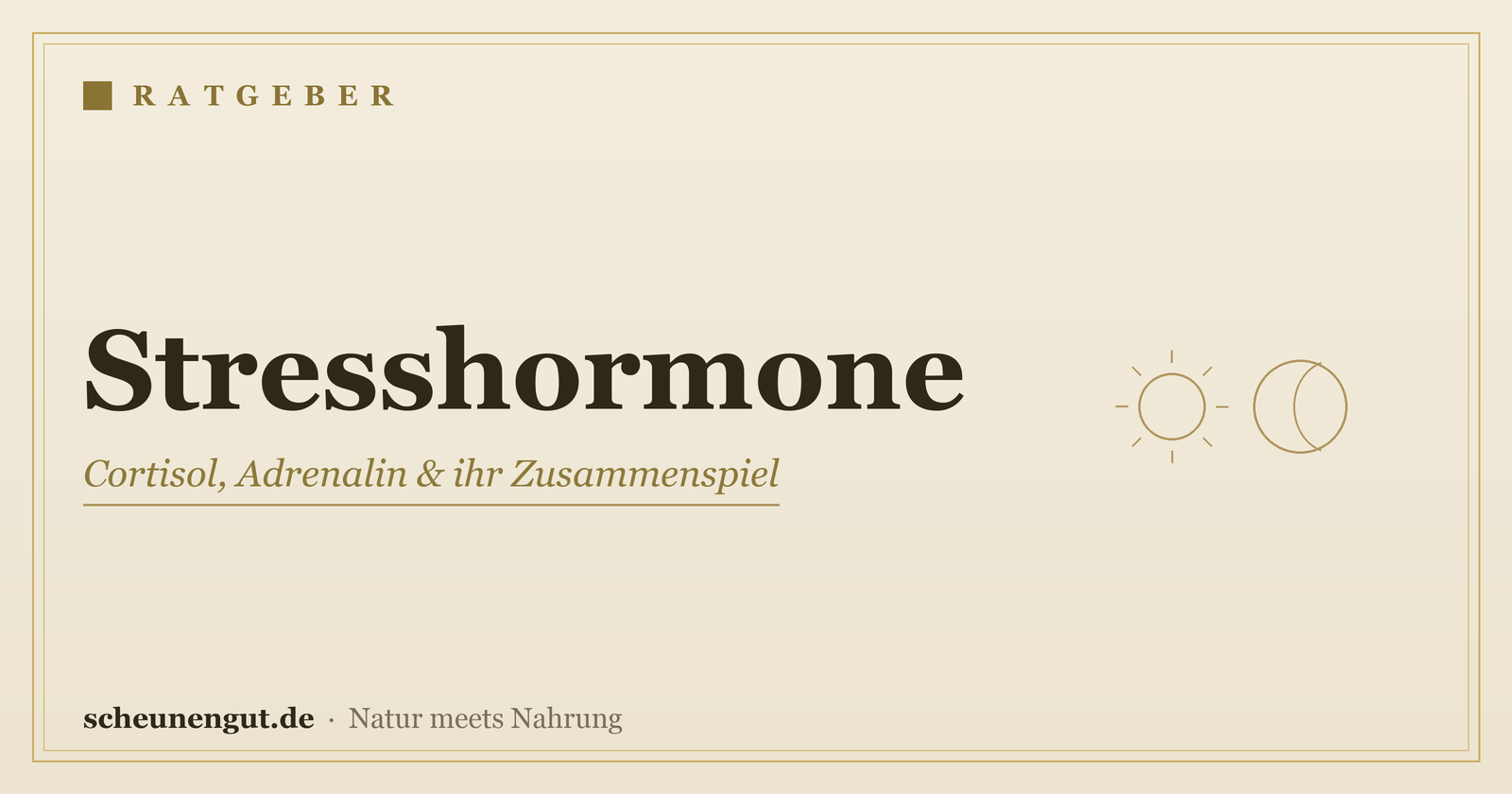 Stresshormone: Cortisol, Adrenalin & ihr Zusammenspiel