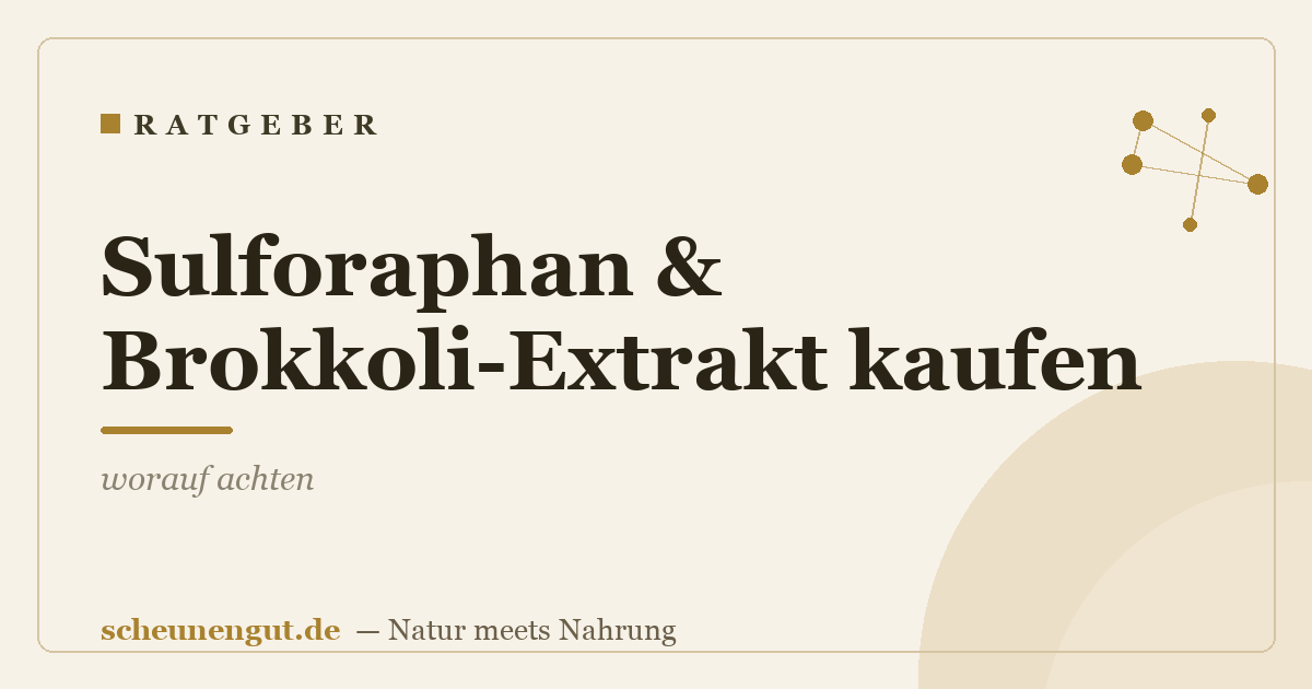 Sulforaphan & Brokkoli-Extrakt kaufen: worauf achten