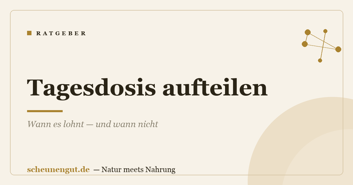 Tagesdosis aufteilen: Wann es lohnt — und wann nicht
