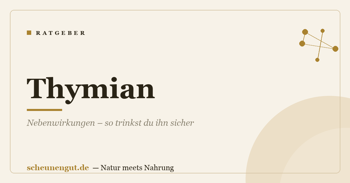 Thymian: Nebenwirkungen – so trinkst du ihn sicher