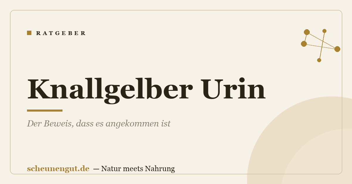 Knallgelber Urin: Der Beweis, dass es angekommen ist