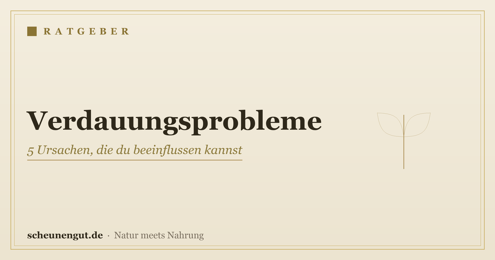 Verdauungsprobleme: 5 Ursachen, die du beeinflussen kannst