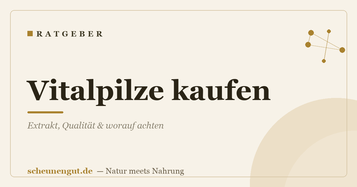 Vitalpilze kaufen: Extrakt, Qualität & worauf achten