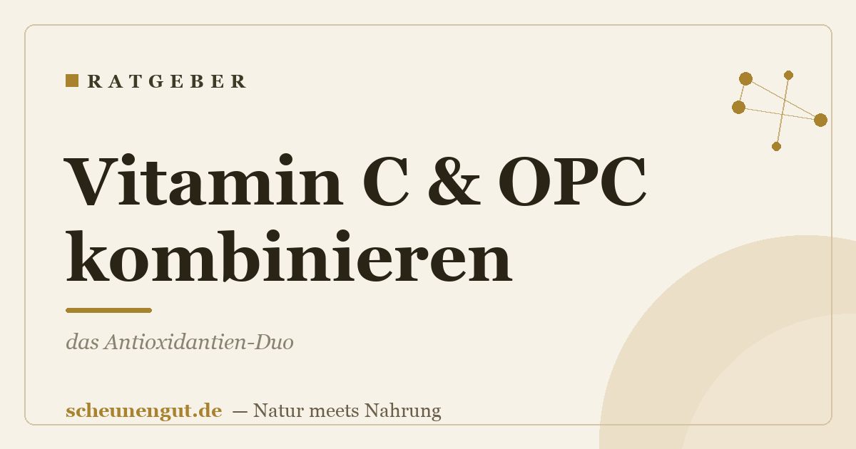 Vitamin C & OPC kombinieren: das Antioxidantien-Duo
