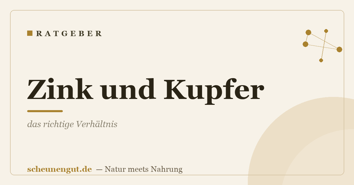 Zink und Kupfer: das richtige Verhältnis