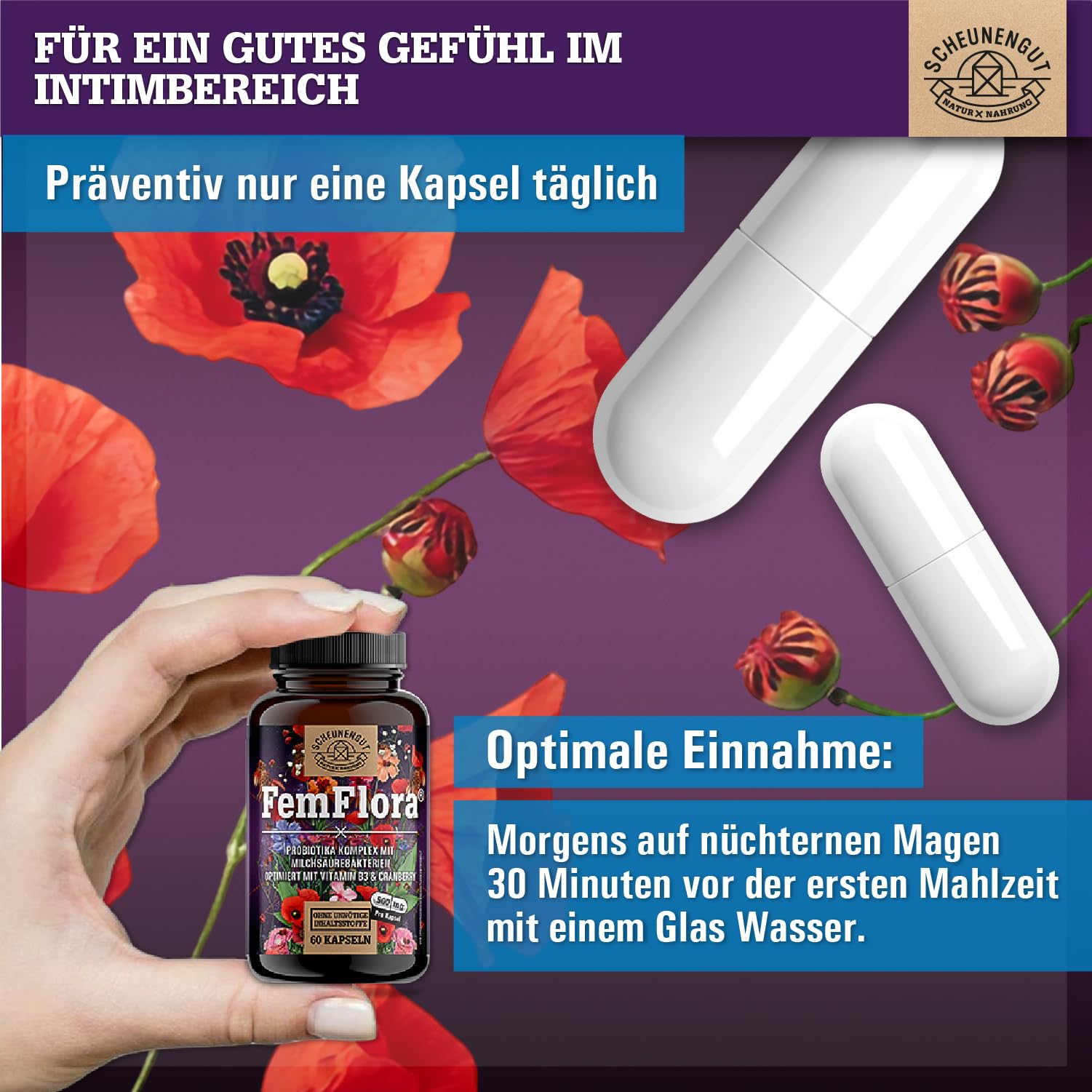 Probiotika Komplex für die weibliche Intimflora mit 15 Mrd. KbE/Tag