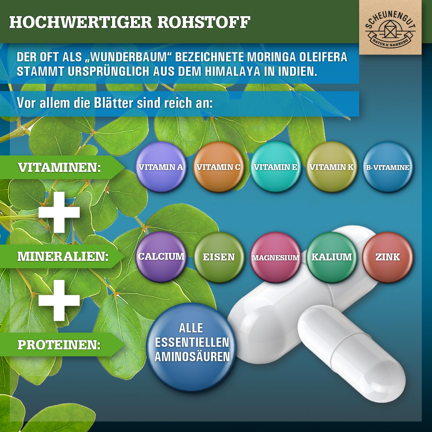 Bio Moringa
