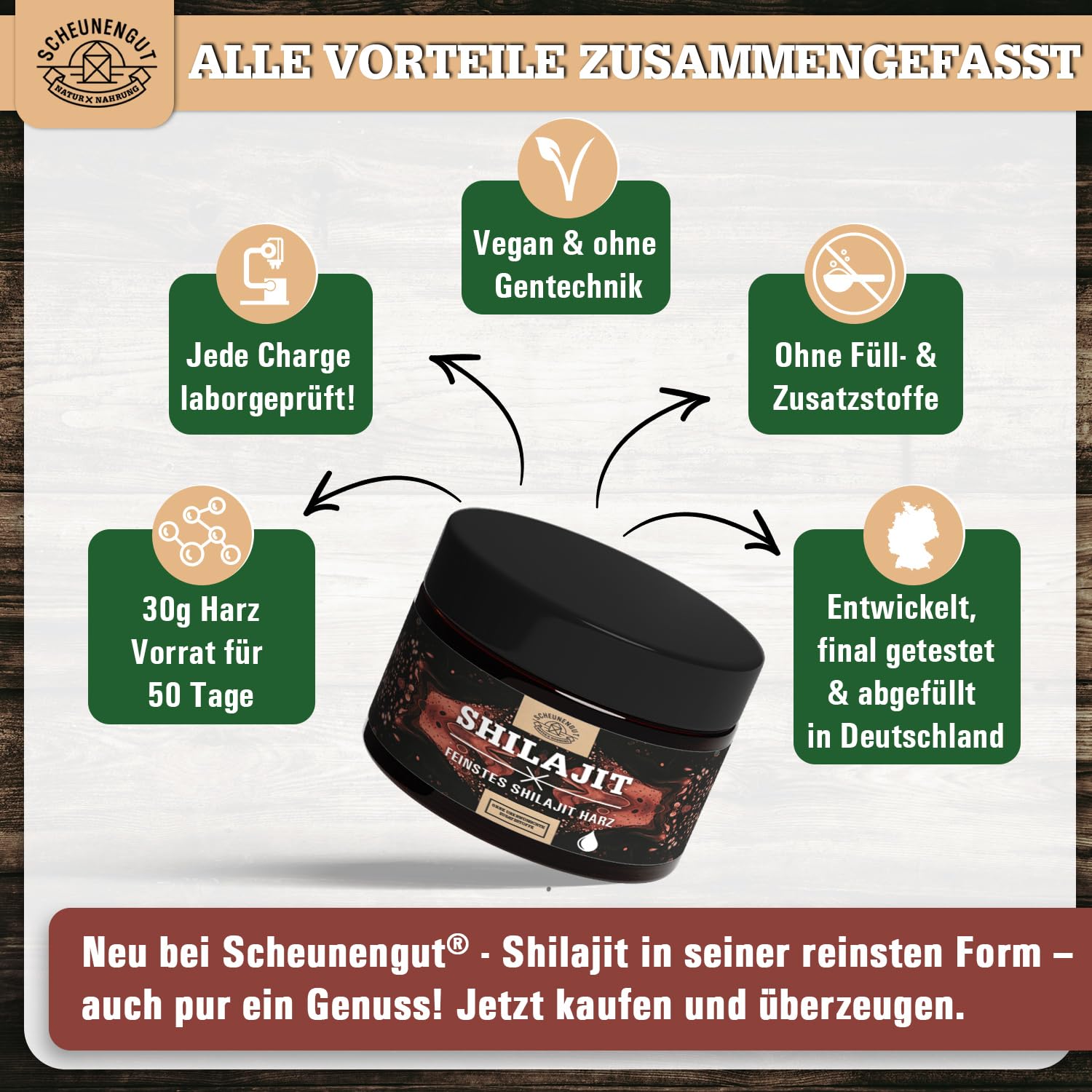 Shilajit Harz