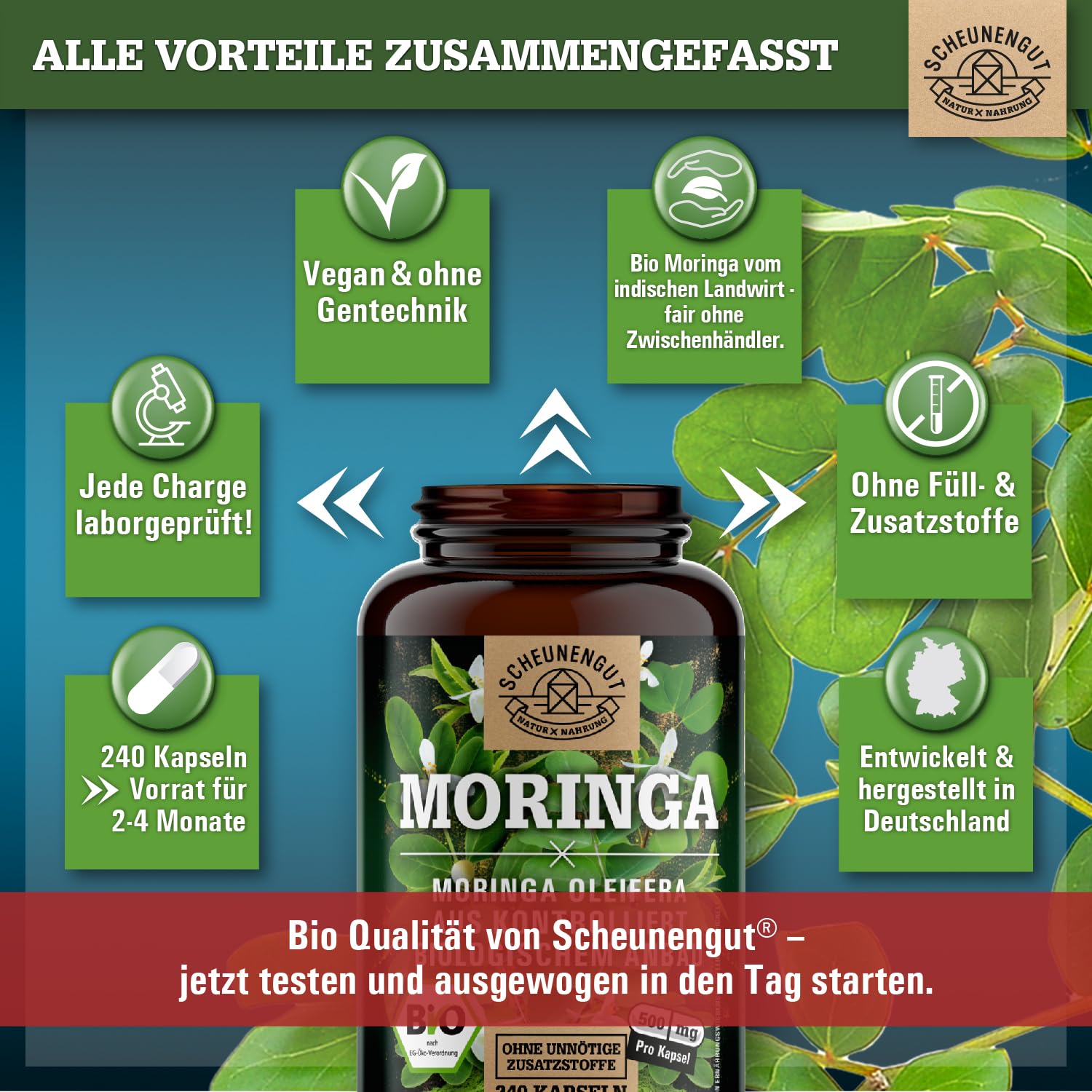 Bio Moringa