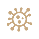 Immunsystem