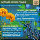 Ausgewählte Augenvitamine mit Lutein, Zeaxanthin und Vitamin A Scheunengut - Shop