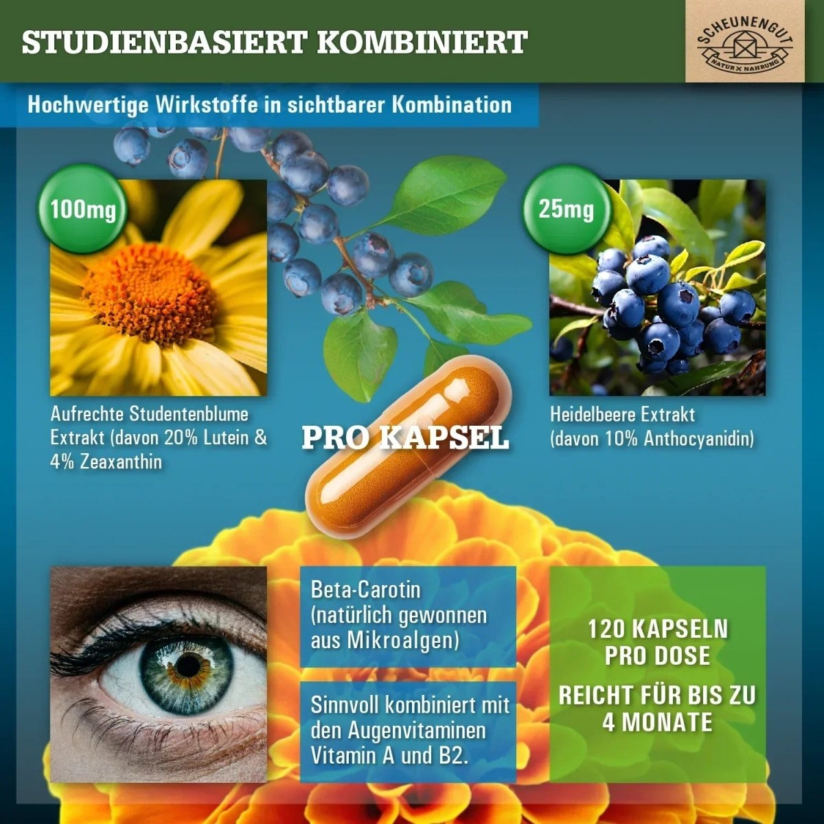 Ausgewählte Augenvitamine mit Lutein, Zeaxanthin und Vitamin A Scheunengut - Shop