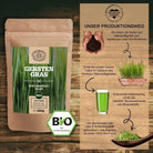 Ausgezeichnetes Gerstengrassaft Pulver (Barley Grass Juice) aus den USA Scheunengut - Shop