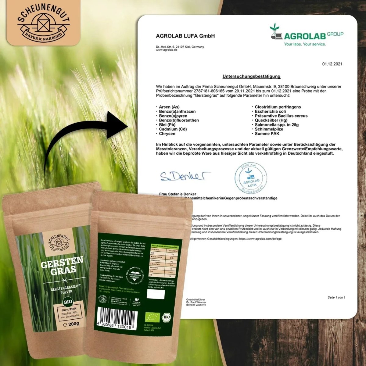 Ausgezeichnetes Gerstengrassaft Pulver (Barley Grass Juice) aus den USA Scheunengut - Shop
