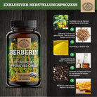Berberis aristata Extrakt aus Indien - optimiert mit Chrom und Piperin Scheunengut - Shop