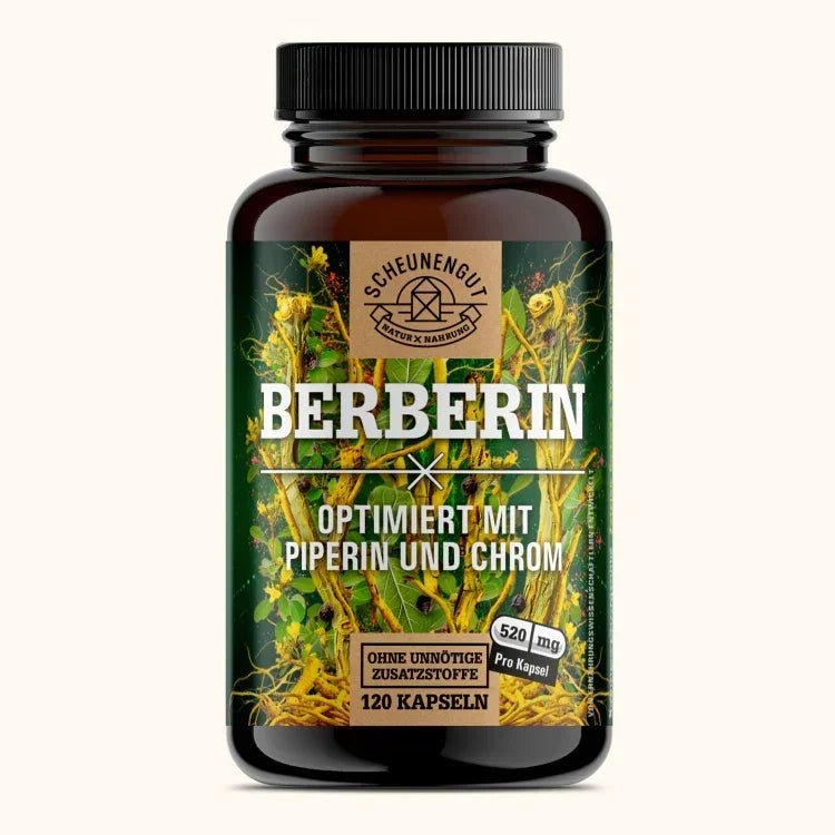 Berberis aristata Extrakt aus Indien - optimiert mit Chrom und Piperin Scheunengut - Shop