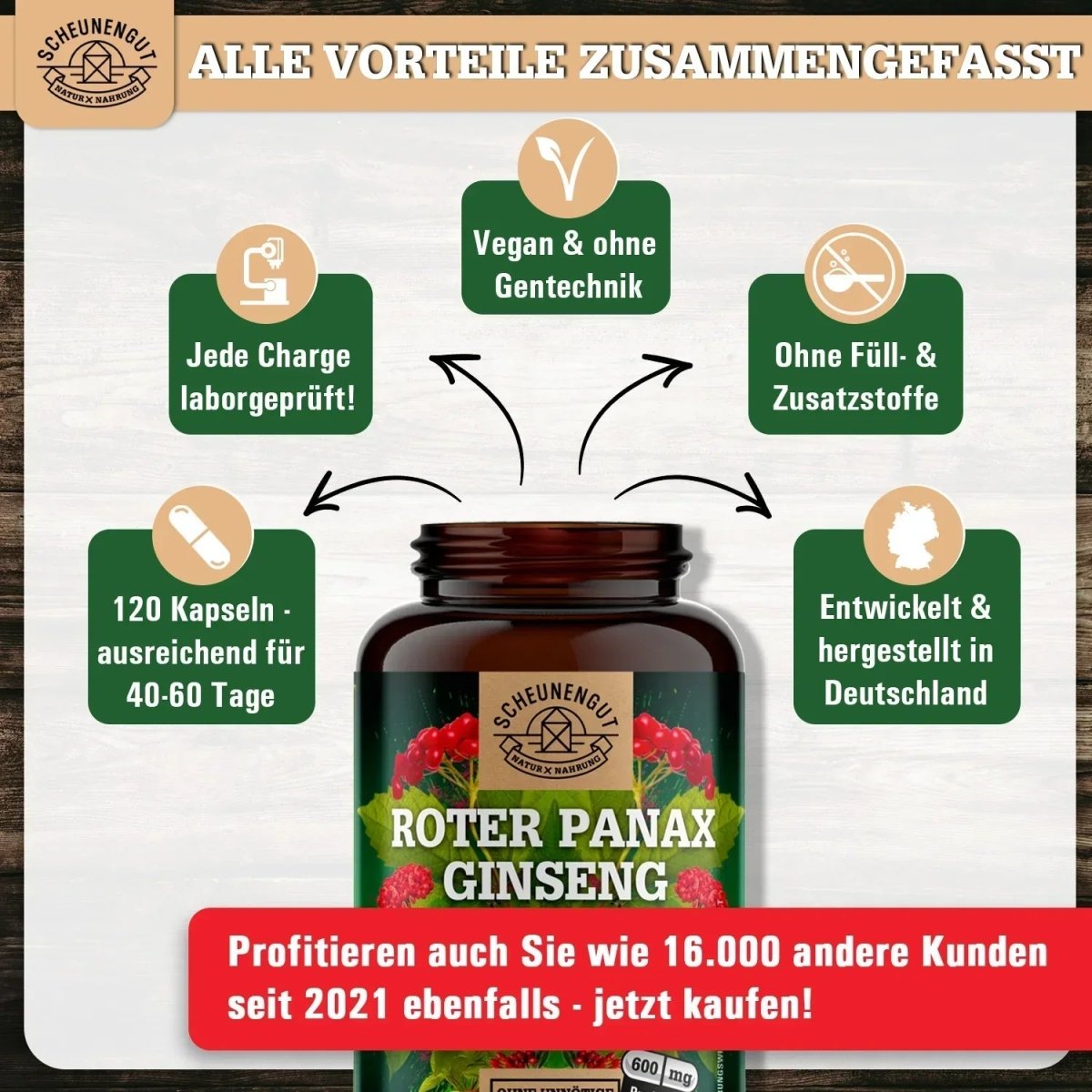 C.A. Meyer Wurzelextrakt hochdosiert 20:1 mit 20% Ginsenoside Scheunengut - Shop