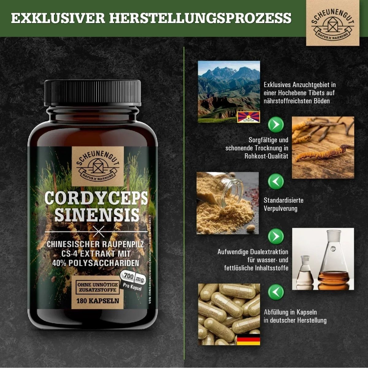 Chinesischer Raupenpilz CS - 4 Extrakt mit 40% bioaktiven Polysacchariden Scheunengut - Shop