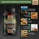 Chinesischer Raupenpilz CS - 4 Extrakt mit 40% bioaktiven Polysacchariden Scheunengut - Shop