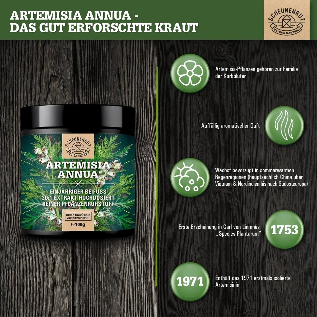 Einjähriger Beifuß Extrakt hochdosiert 30:1 mit 21% Artemisinin Scheunengut - Shop