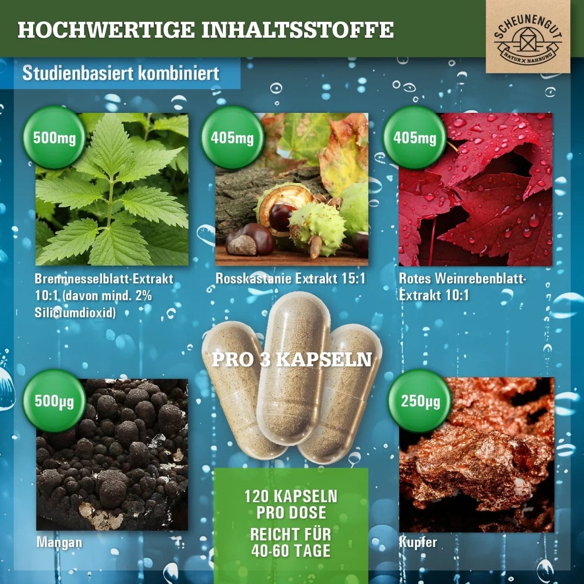 Entwässerungs - Komplex mit Brennnessel, Rosskastanie, Weinrebenblatt, Mangan und Kupfer Scheunengut - Shop