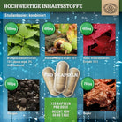 Entwässerungs - Komplex mit Brennnessel, Rosskastanie, Weinrebenblatt, Mangan und Kupfer Scheunengut - Shop