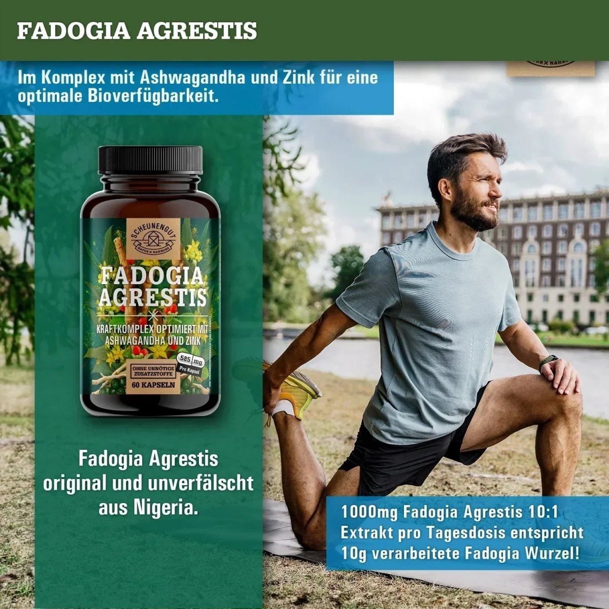 Fadogia Kraftkomplex optimiert mit Ashwagandha & Zink Scheunengut - Shop