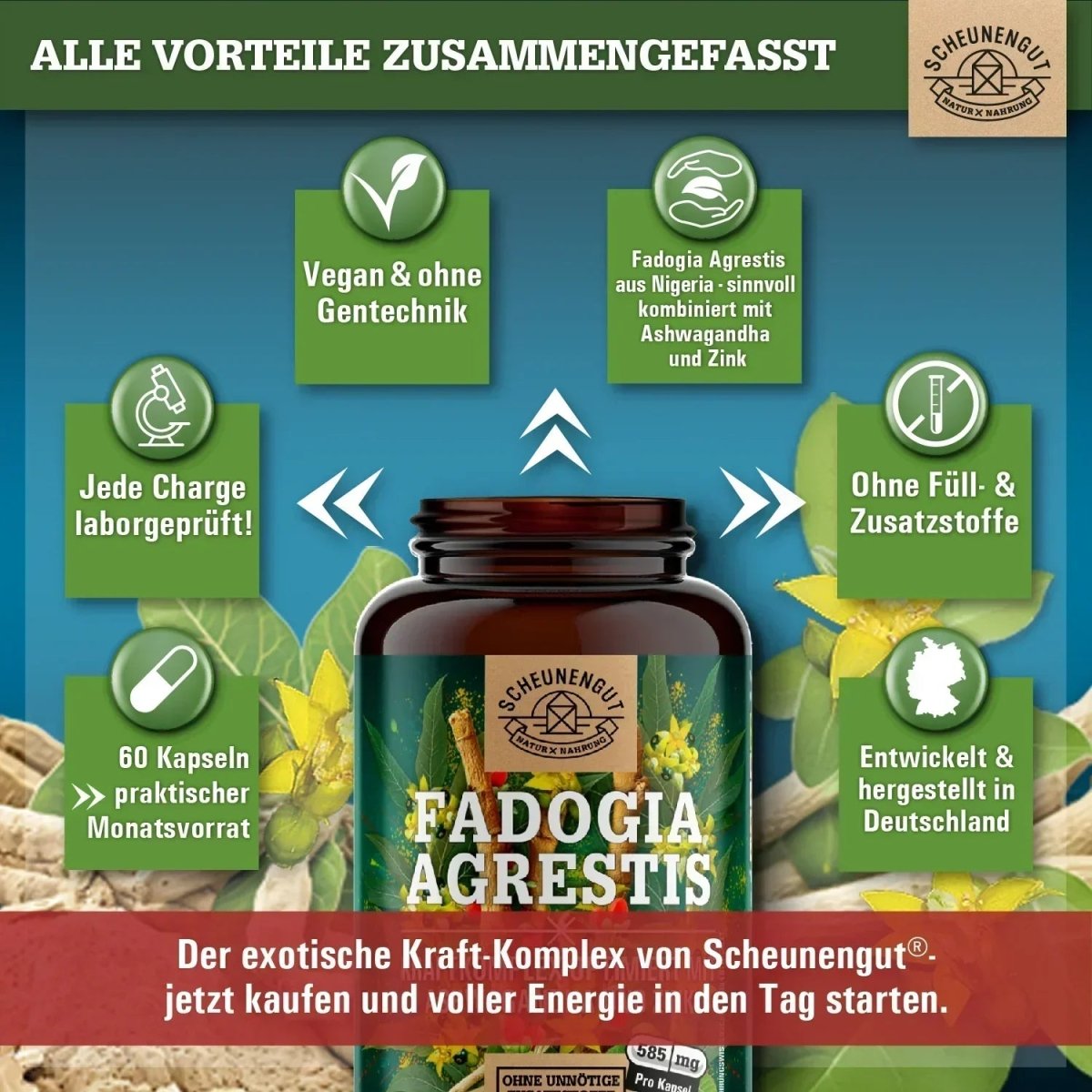Fadogia Kraftkomplex optimiert mit Ashwagandha & Zink Scheunengut - Shop