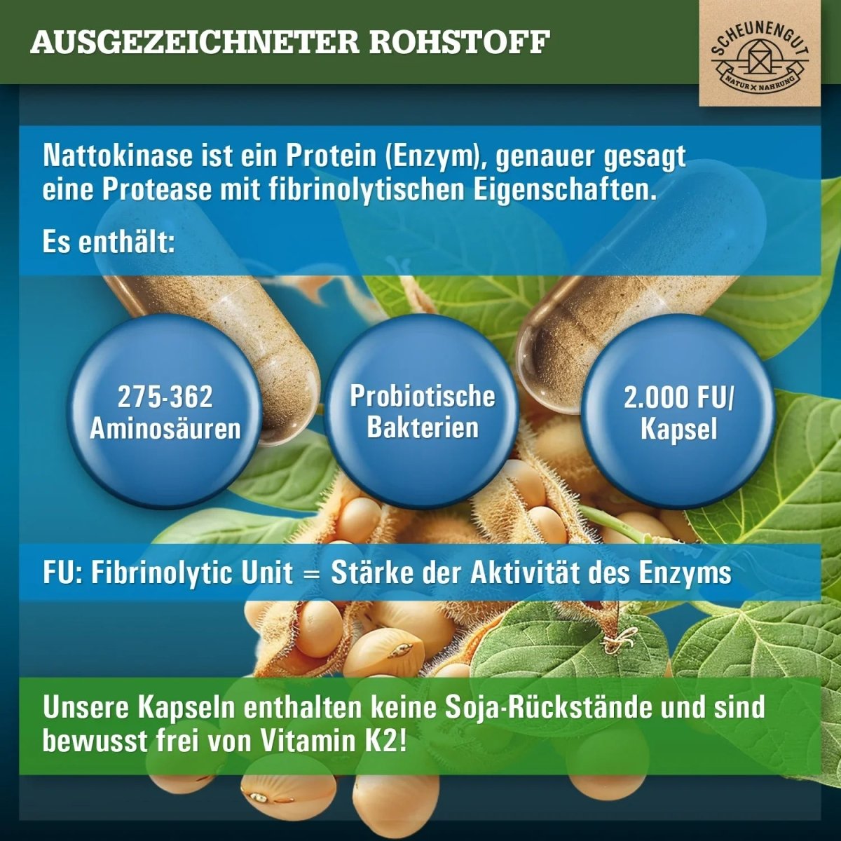 Fermentiert aus Soja - magensaftresistente Kapseln mit 20.000 FU/g Scheunengut - Shop