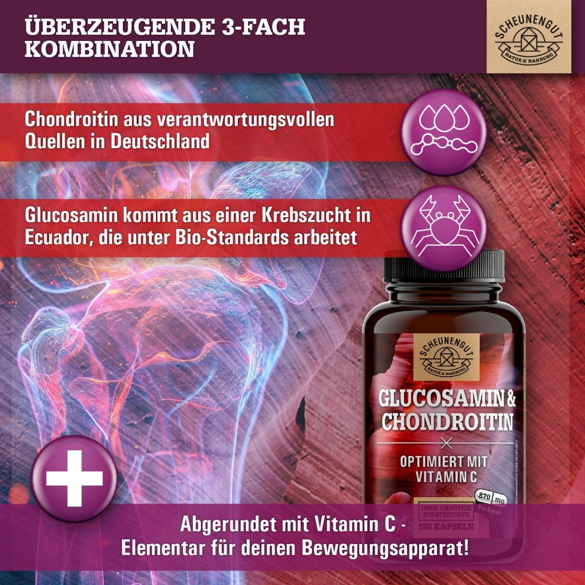 Glucosamin & Chondroitin optimiert mit Vitamin C Scheunengut Shop