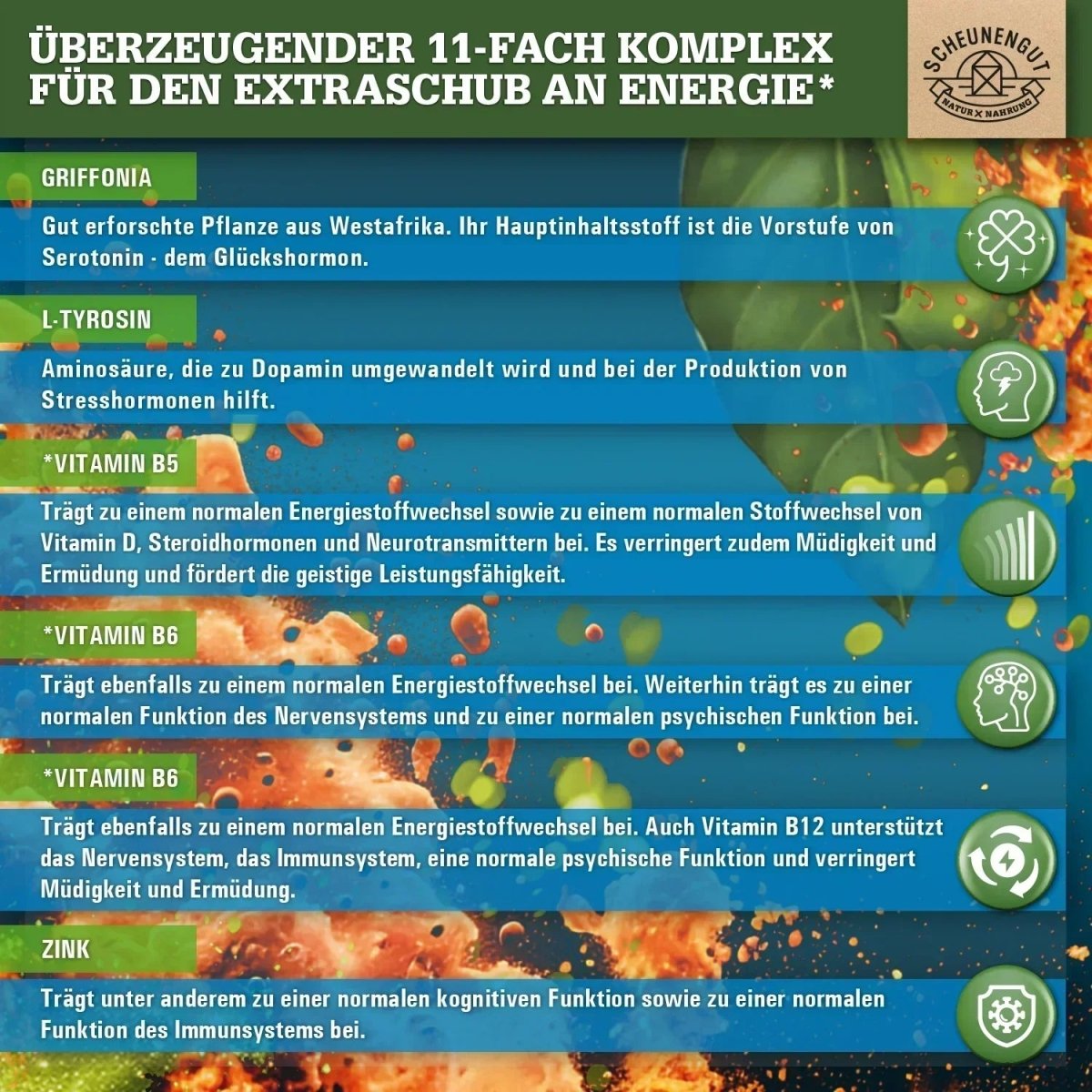 Griffonia Komplex mit natürlichem Koffein, L - Tyrosin, L - Phenylalanin, Vitaminen & Spurenelementen Scheunengut - Shop