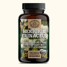 Hericium Erinaceus mit 30% Polysacchariden & 5% Beta-Glucan