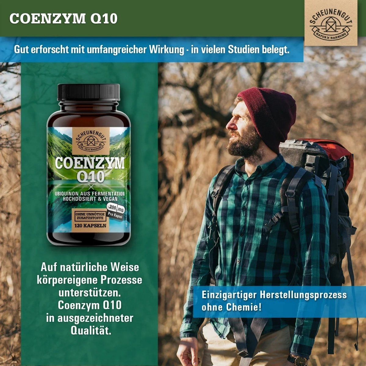 Hochdosiertes Ubiquinon aus pflanzlicher Fermentation Scheunengut - Shop