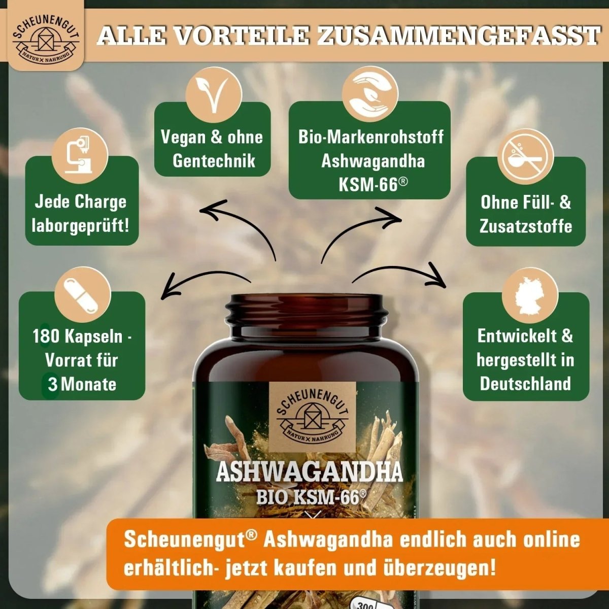 Hochwertiger Markenrohstoff mit mindestens 5% Withanoliden Scheunengut - Shop