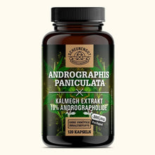 Indischer Kalmegh Extrakt - mindestens 10% Andrographolide