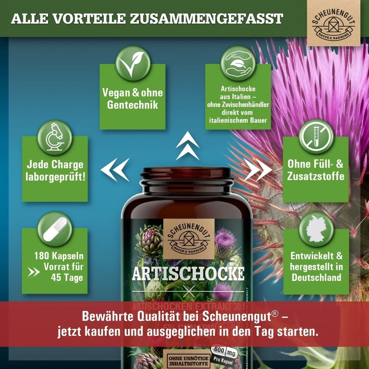 Italienischer Extrakt hochdosiert 30:1 mit mindestens 5% Cynarin Scheunengut - Shop