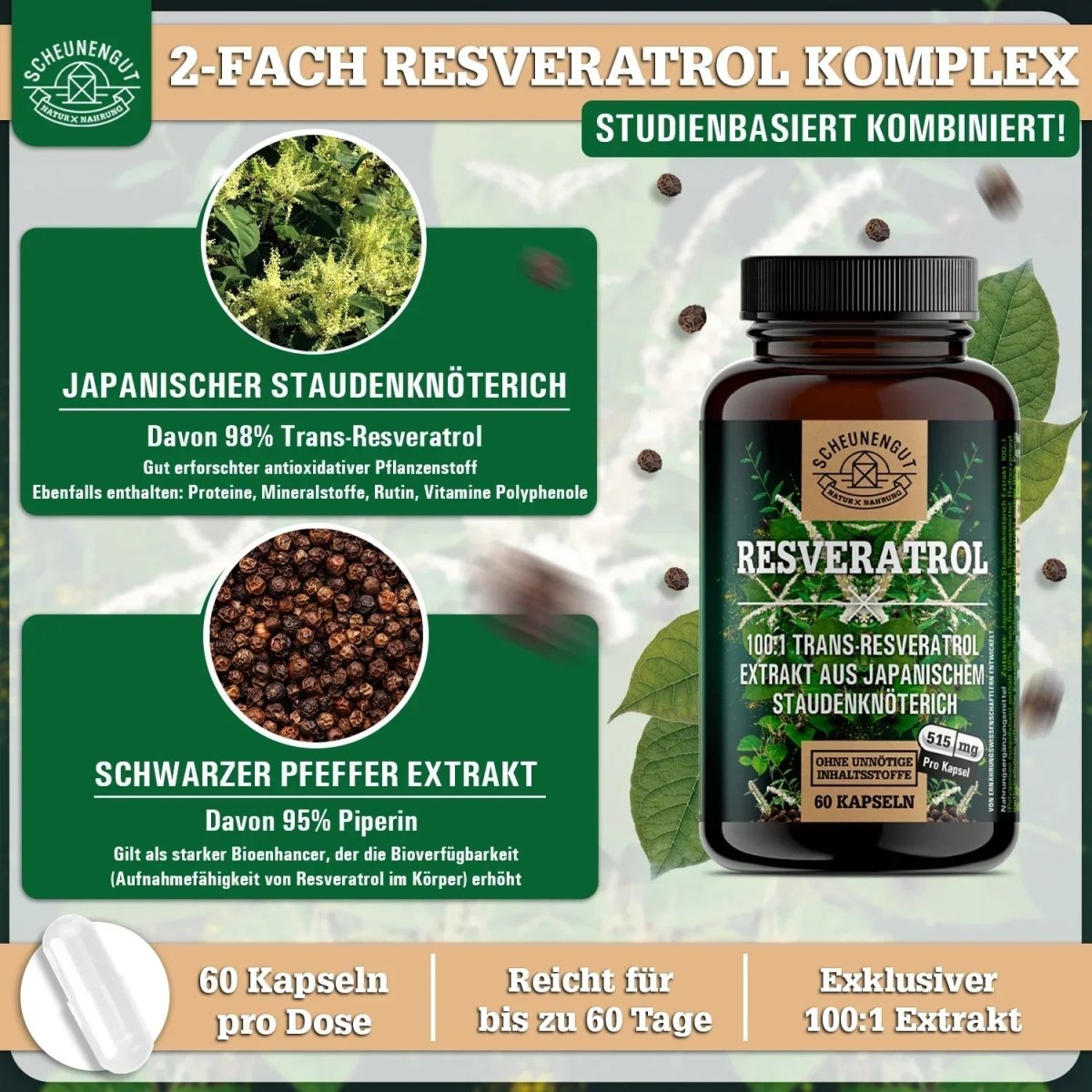 Japanischer Staudenknöterich Extrakt 100:1 optimiert mit Piperin Scheunengut - Shop