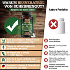 Japanischer Staudenknöterich Extrakt 100:1 optimiert mit Piperin Scheunengut - Shop