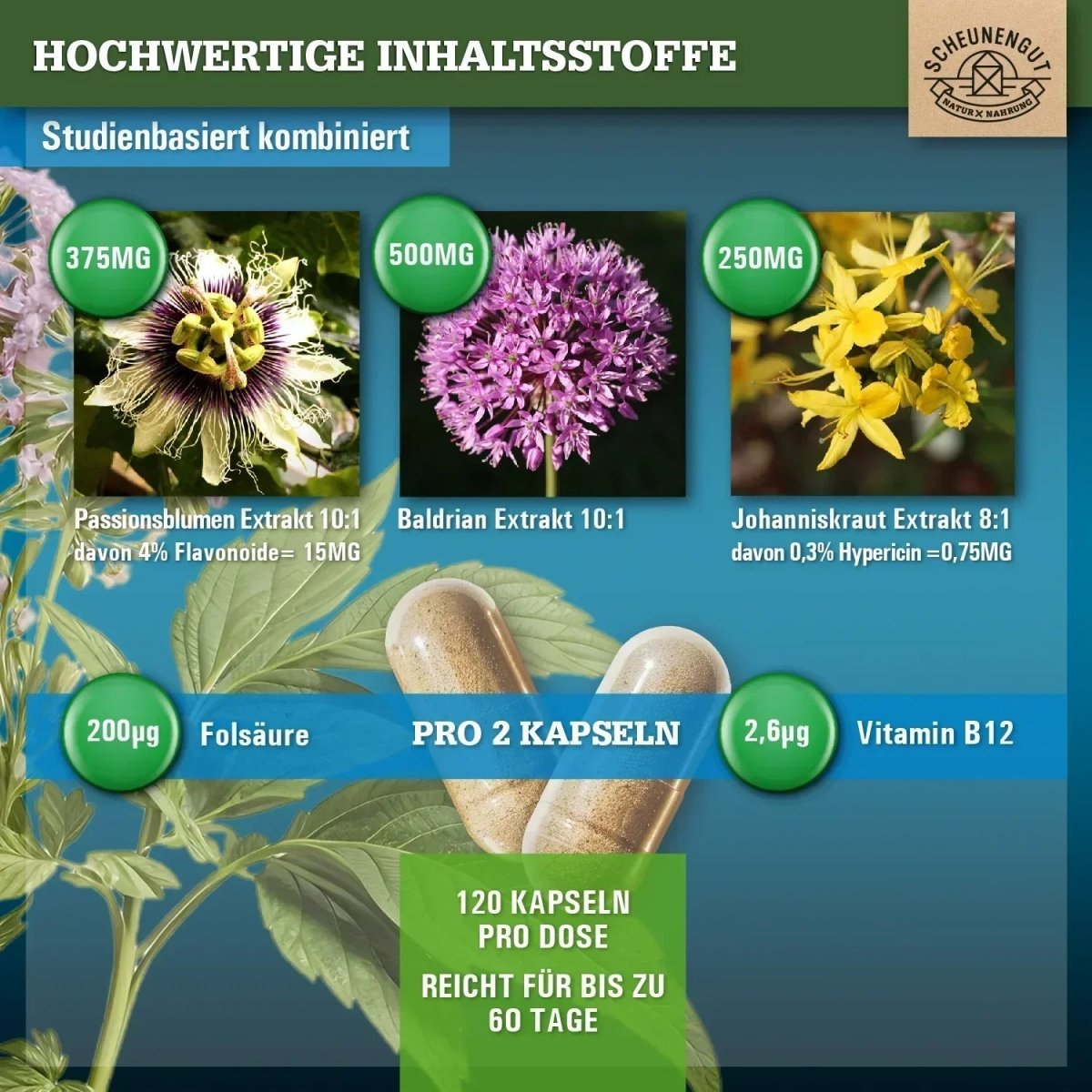 Komplex mit Johanniskraut, Baldrian, Passionsblume, Folsäure und Vitamin B12 Scheunengut - Shop