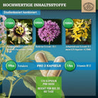 Komplex mit Johanniskraut, Baldrian, Passionsblume, Folsäure und Vitamin B12