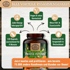 Kürbiskern - Komplex mit Sägepalmenfrucht, Brennnesselwurzel, Selen uvm. Scheunengut - Shop