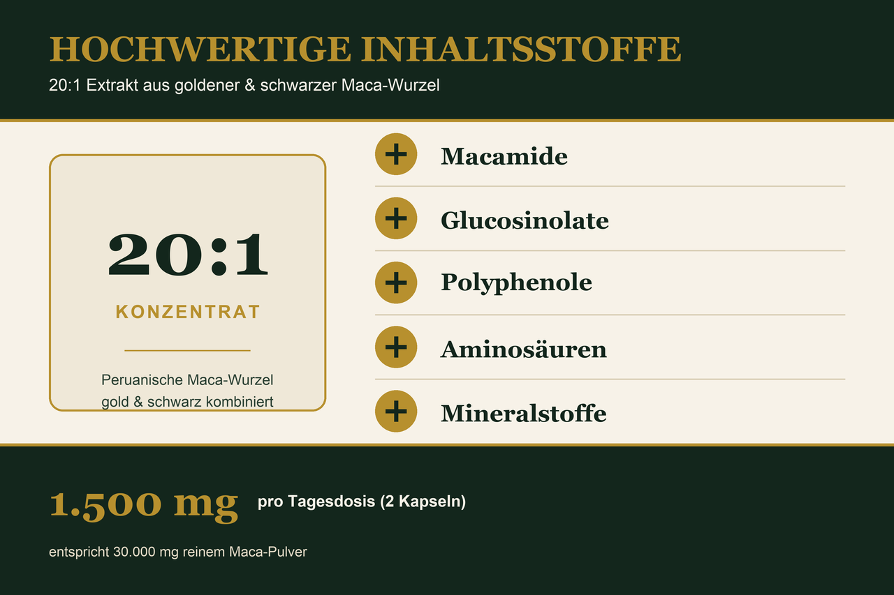 Wirkstoffe im Maca 20:1 Extrakt – Scheunengut