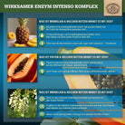 Magensaftresistenter Bromelain Komplex mit Papain, Rutin und Selen Scheunengut - Shop