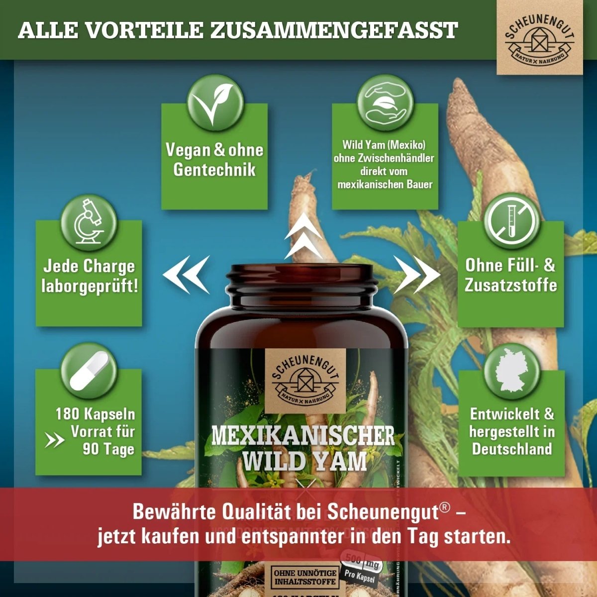 Mexikanischer Yams Extrakt hochdosiert mit 20% Diosgenin Scheunengut - Shop
