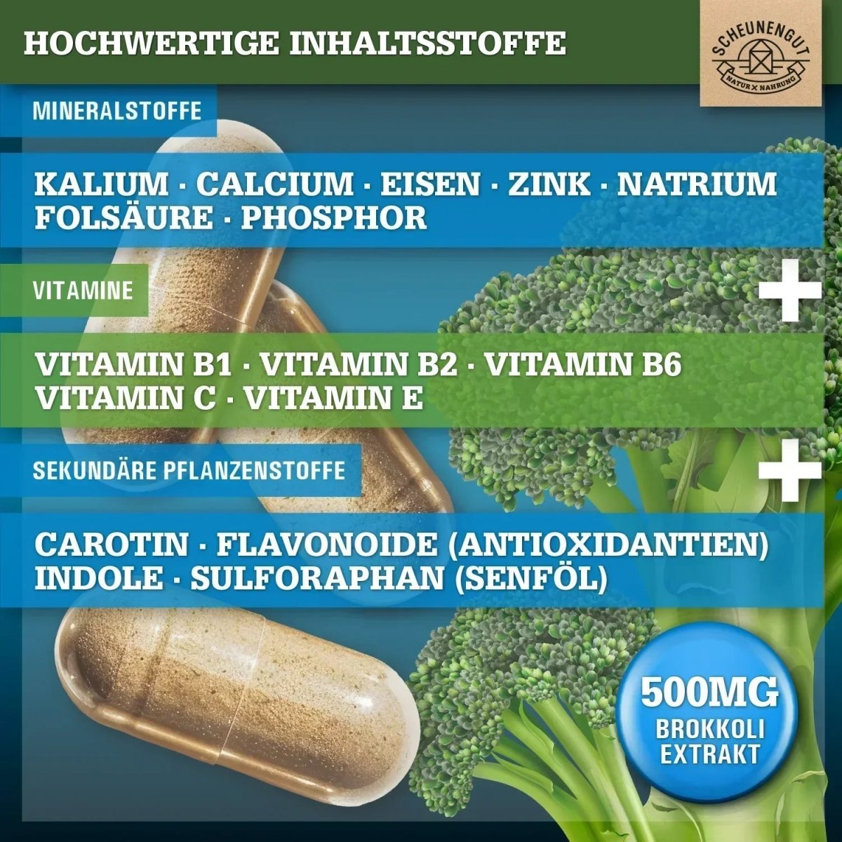 Natürliche Sulforaphan Quelle (mindestens 10%) mit aktiver Myrosinase Scheunengut - Shop