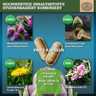 Pflanzen-Komplex mit Mariendistel, Artischocke, Löwenzahnwurzel und Desmodium