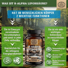 R - ALA aus natürlicher Fermentation | Biologisch aktive Form des starken Antioxidans Scheunengut - Shop